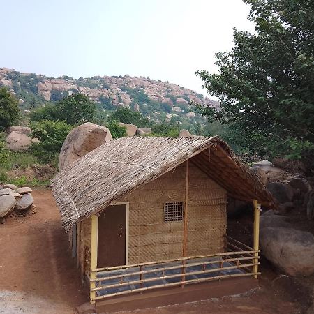 Monkey Paradise Hampi האמפי מראה חיצוני תמונה