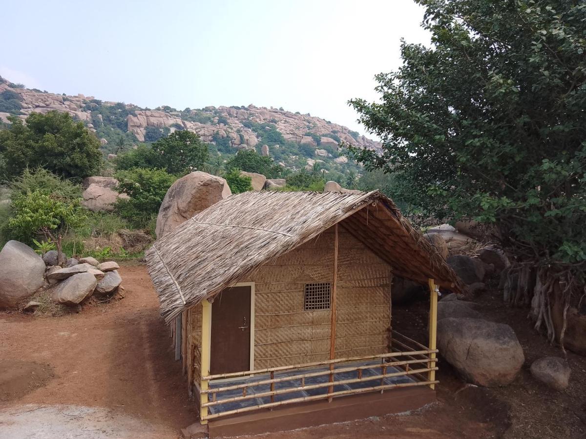 Monkey Paradise Hampi האמפי מראה חיצוני תמונה