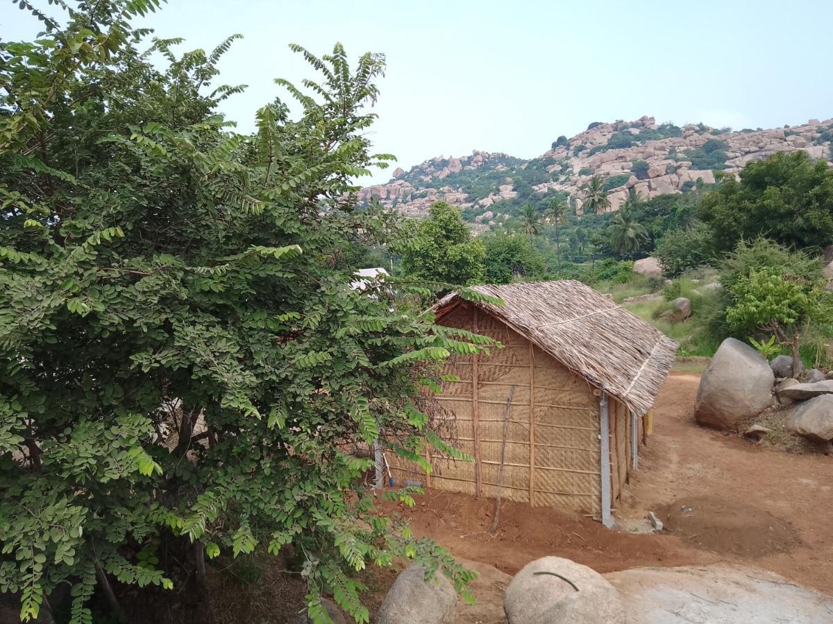 Monkey Paradise Hampi האמפי מראה חיצוני תמונה
