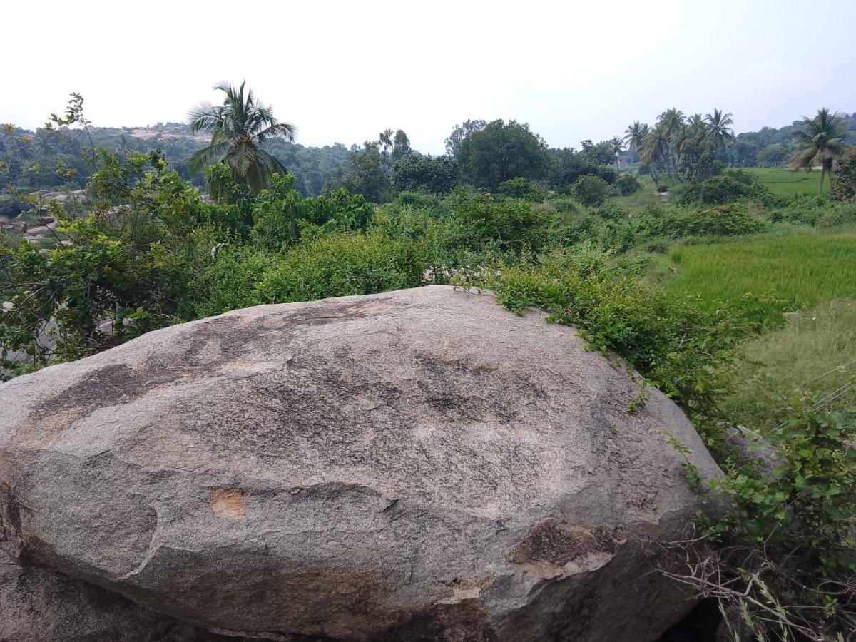 Monkey Paradise Hampi האמפי מראה חיצוני תמונה