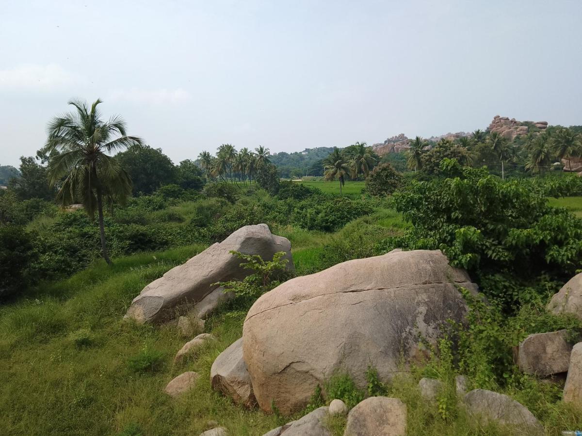 Monkey Paradise Hampi האמפי מראה חיצוני תמונה