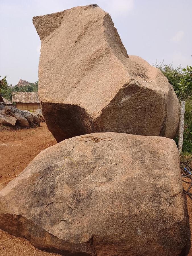 Monkey Paradise Hampi האמפי מראה חיצוני תמונה