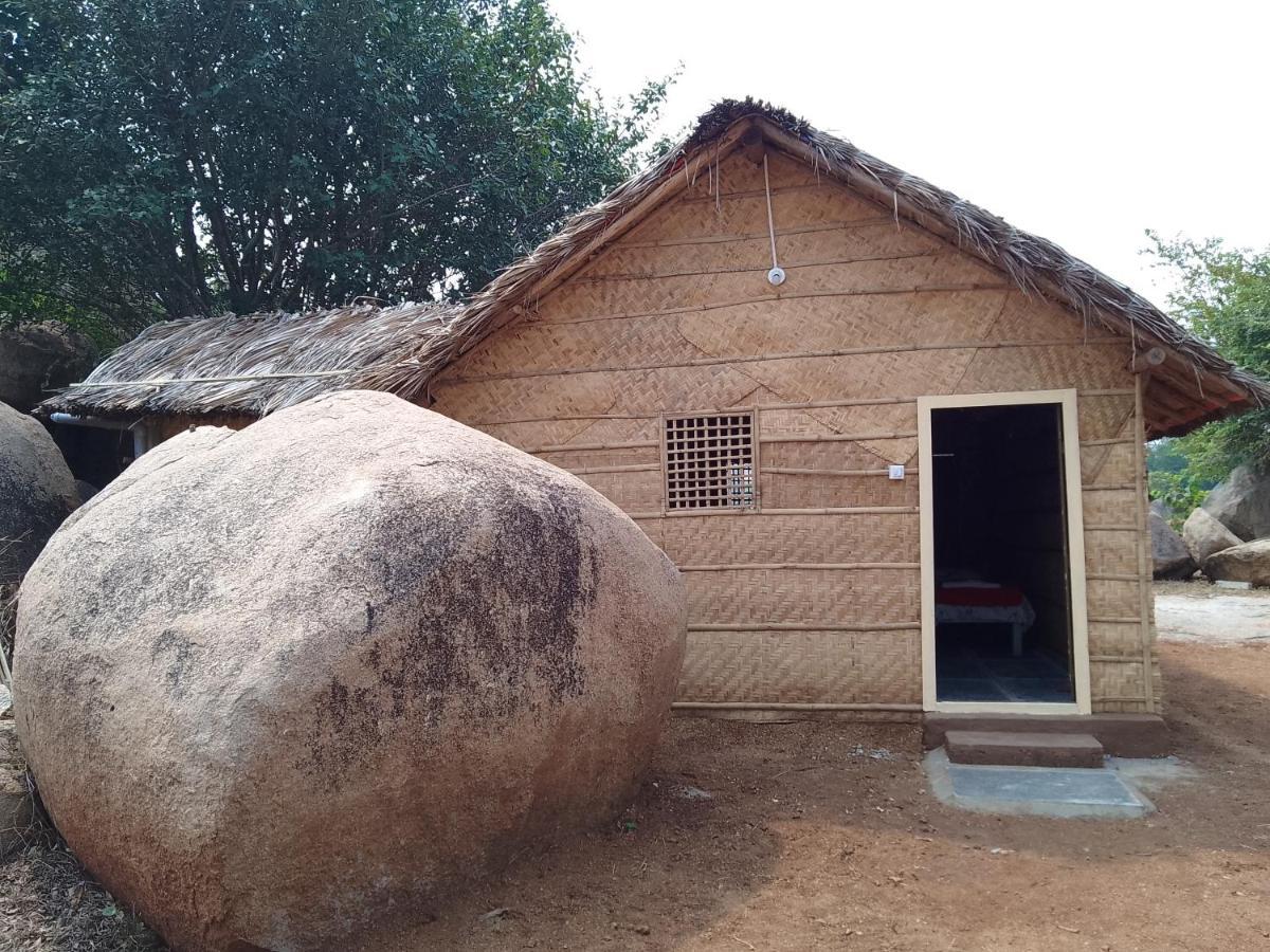 Monkey Paradise Hampi האמפי מראה חיצוני תמונה