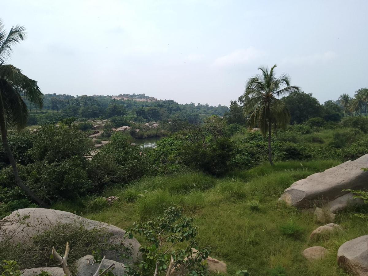 Monkey Paradise Hampi האמפי מראה חיצוני תמונה
