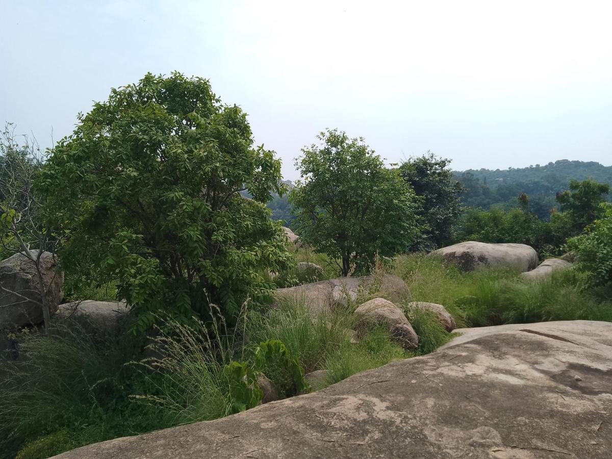 Monkey Paradise Hampi האמפי מראה חיצוני תמונה