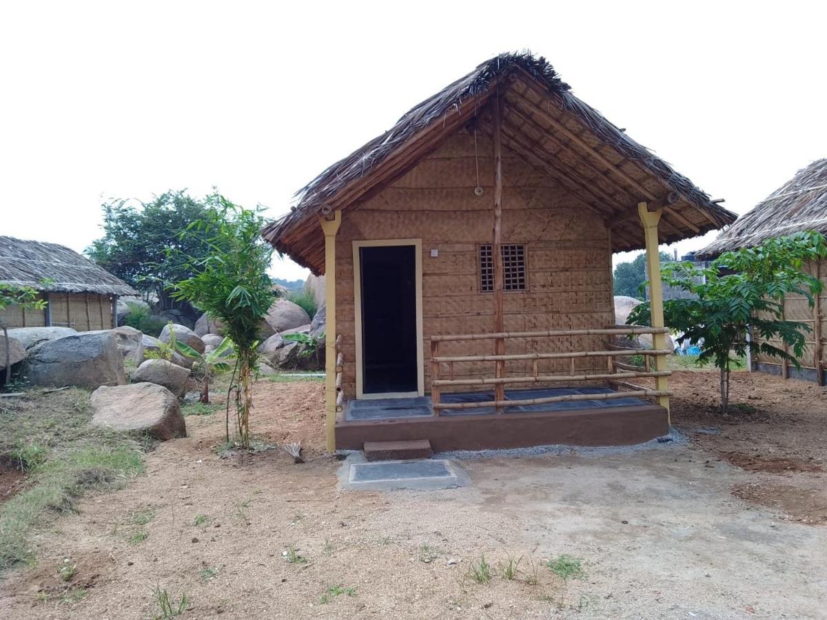 Monkey Paradise Hampi האמפי מראה חיצוני תמונה